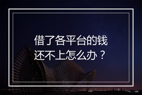 借了各平台的钱还不上怎么办？