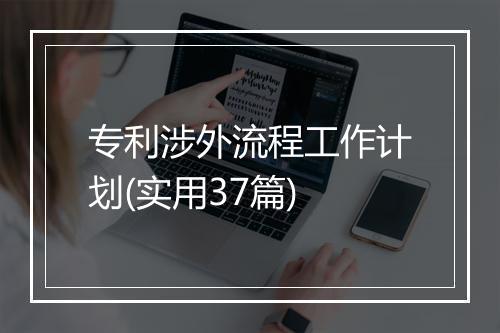 专利涉外流程工作计划(实用37篇)