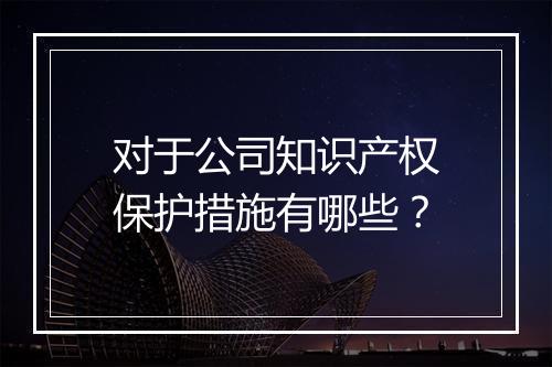 对于公司知识产权保护措施有哪些？