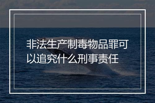 非法生产制毒物品罪可以追究什么刑事责任