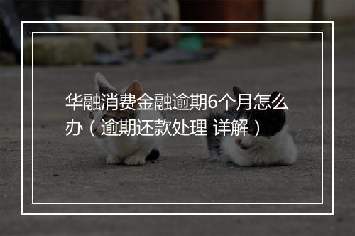 华融消费金融逾期6个月怎么办（逾期还款处理 详解）