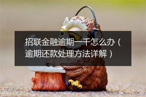 招联金融逾期一千怎么办（逾期还款处理方法详解）