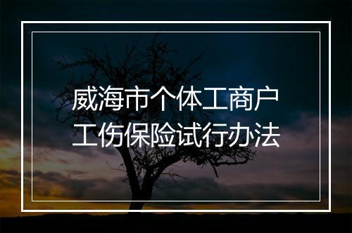 威海市个体工商户工伤保险试行办法
