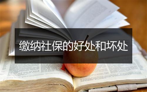 缴纳社保的好处和坏处