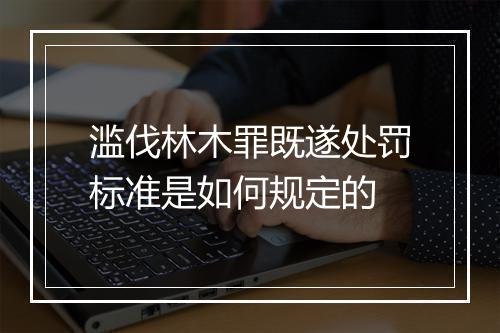 滥伐林木罪既遂处罚标准是如何规定的