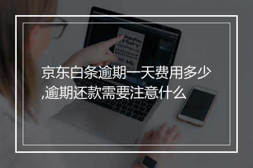 京东白条逾期一天费用多少,逾期还款需要注意什么