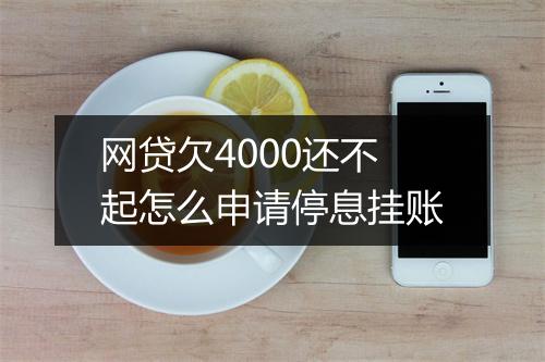网贷欠4000还不起怎么申请停息挂账