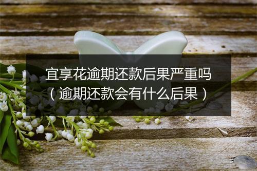 宜享花逾期还款后果严重吗（逾期还款会有什么后果）