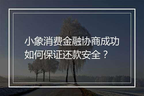 小象消费金融协商成功如何保证还款安全？