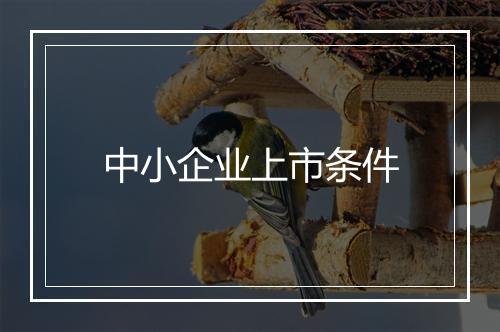 中小企业上市条件