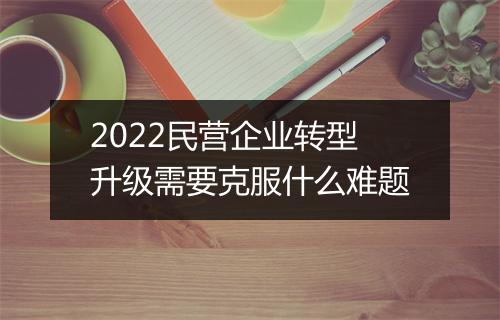 2022民营企业转型升级需要克服什么难题