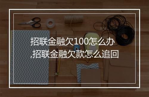 招联金融欠100怎么办,招联金融欠款怎么追回