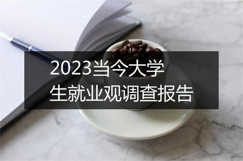 2023当今大学生就业观调查报告