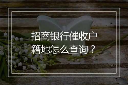 招商银行催收户籍地怎么查询？