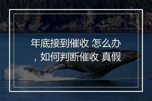 年底接到催收 怎么办，如何判断催收 真假
