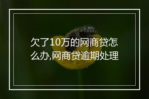 欠了10万的网商贷怎么办,网商贷逾期处理