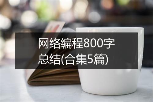 网络编程800字总结(合集5篇)