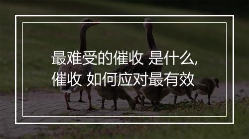 最难受的催收 是什么,催收 如何应对最有效