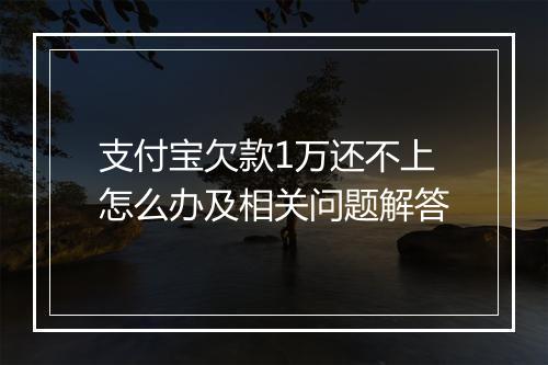 支付宝欠款1万还不上怎么办及相关问题解答