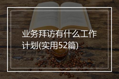 业务拜访有什么工作计划(实用52篇)