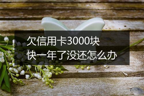 欠信用卡3000块快一年了没还怎么办