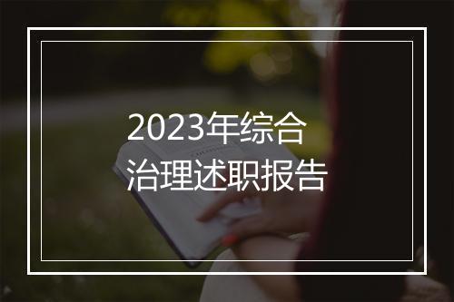 2023年综合治理述职报告