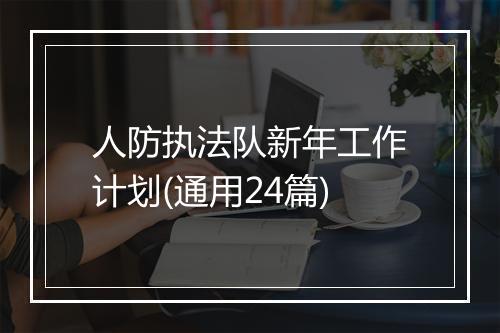 人防执法队新年工作计划(通用24篇)