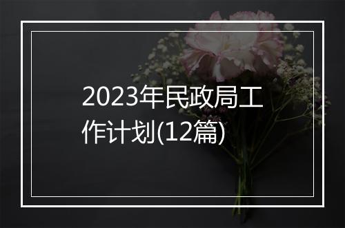 2023年民政局工作计划(12篇)