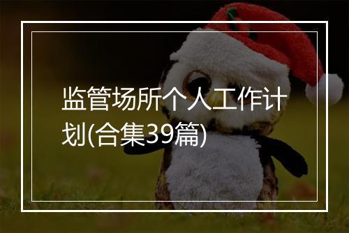 监管场所个人工作计划(合集39篇)