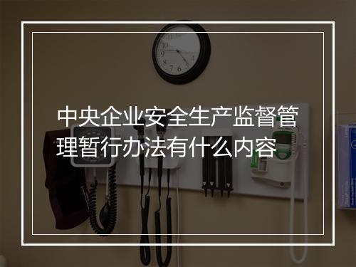 中央企业安全生产监督管理暂行办法有什么内容