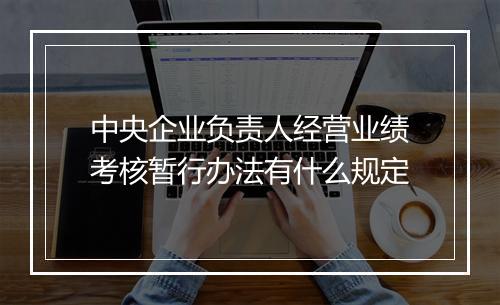 中央企业负责人经营业绩考核暂行办法有什么规定