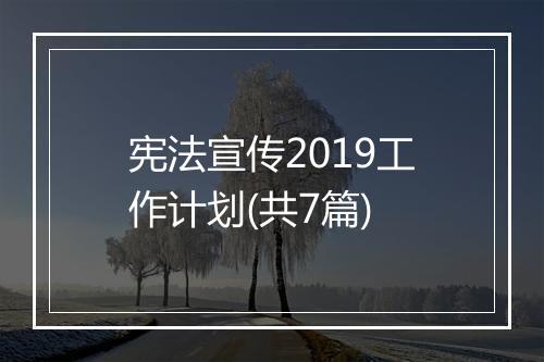 宪法宣传2019工作计划(共7篇)