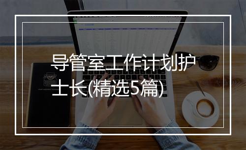 导管室工作计划护士长(精选5篇)