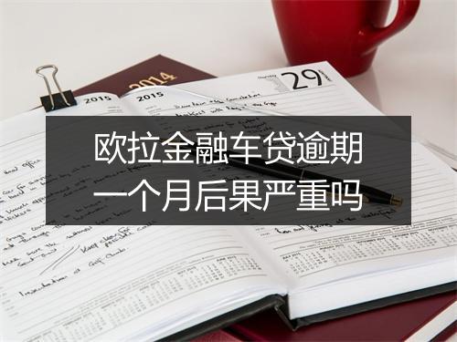 欧拉金融车贷逾期一个月后果严重吗