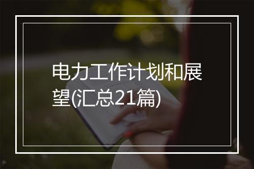 电力工作计划和展望(汇总21篇)