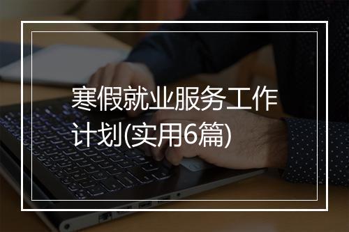 寒假就业服务工作计划(实用6篇)
