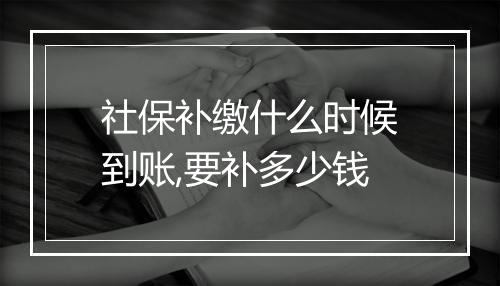 社保补缴什么时候到账,要补多少钱