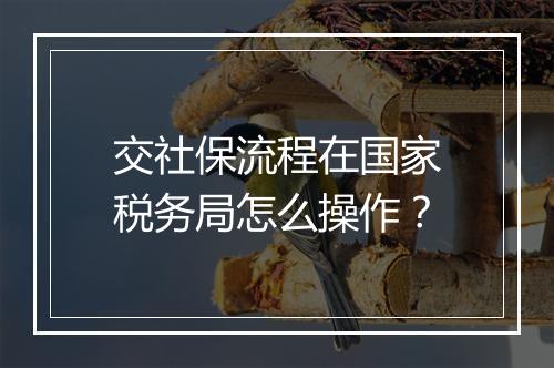 交社保流程在国家税务局怎么操作？