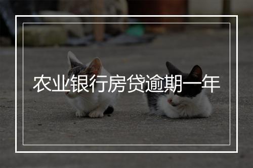 农业银行房贷逾期一年