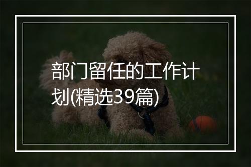 部门留任的工作计划(精选39篇)