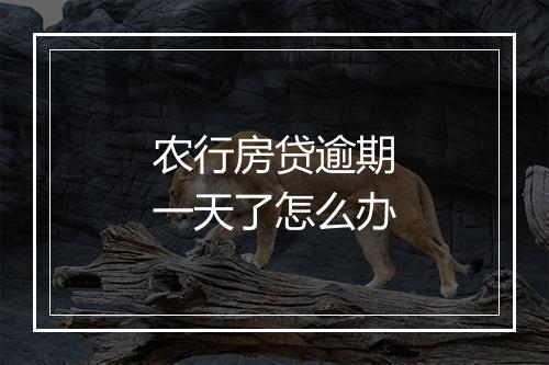 农行房贷逾期一天了怎么办