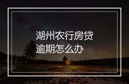 湖州农行房贷逾期怎么办
