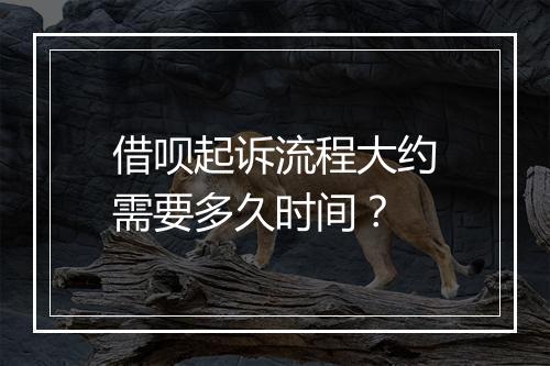 借呗起诉流程大约需要多久时间？