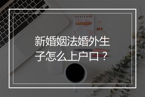新婚姻法婚外生子怎么上户口？