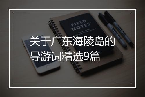关于广东海陵岛的导游词精选9篇