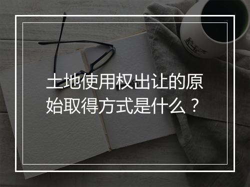 土地使用权出让的原始取得方式是什么？