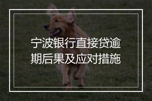 宁波银行直接贷逾期后果及应对措施