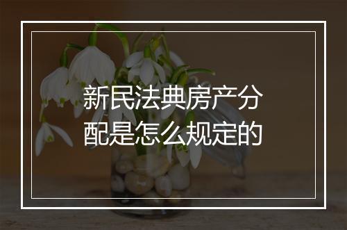 新民法典房产分配是怎么规定的