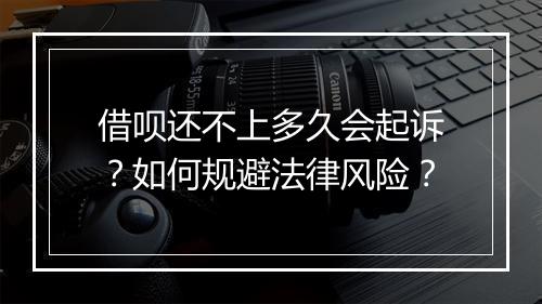 借呗还不上多久会起诉？如何规避法律风险？