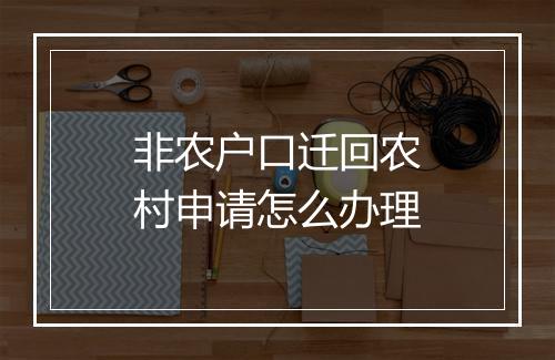 非农户口迁回农村申请怎么办理